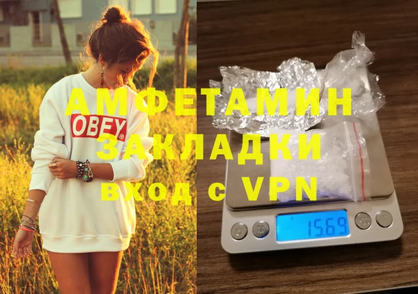 ГАЛЛЮЦИНОГЕННЫЕ ГРИБЫ Ельня
