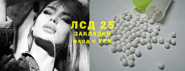 ГАЛЛЮЦИНОГЕННЫЕ ГРИБЫ Ельня