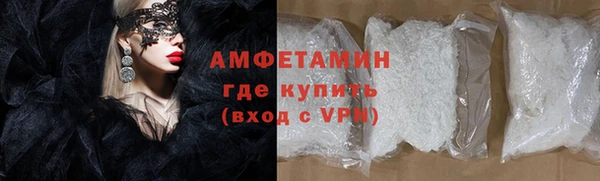 ГАЛЛЮЦИНОГЕННЫЕ ГРИБЫ Ельня