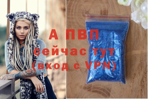 ГАЛЛЮЦИНОГЕННЫЕ ГРИБЫ Ельня