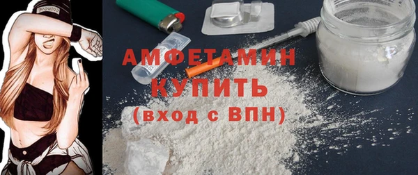 ГАЛЛЮЦИНОГЕННЫЕ ГРИБЫ Ельня