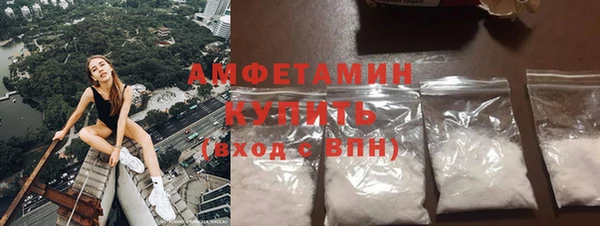 ГАЛЛЮЦИНОГЕННЫЕ ГРИБЫ Ельня