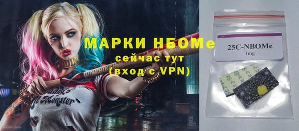 ГАЛЛЮЦИНОГЕННЫЕ ГРИБЫ Ельня