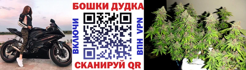 Купить  Михайловка  Бошки марихуана MAZAR 